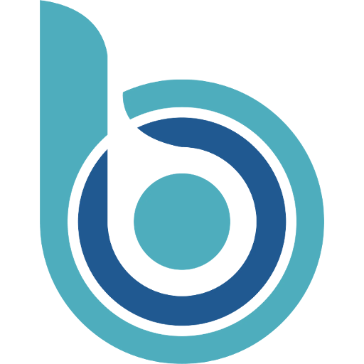 Logo BGTconsult.ai